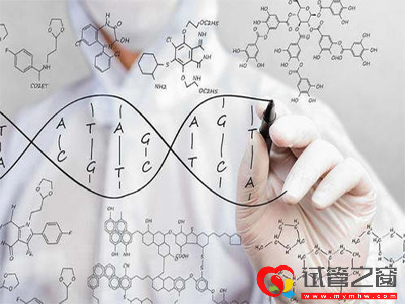 柬埔寨皇家生殖遺傳醫院費用
