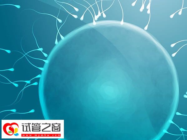 男人沒生育能力的表現有哪些