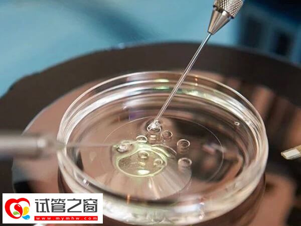 移植后為什么會出現腹脹胸悶
