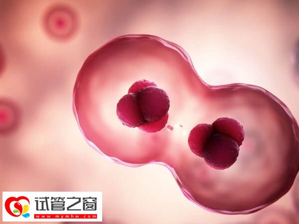 促排卵泡早排會不會影響體溫