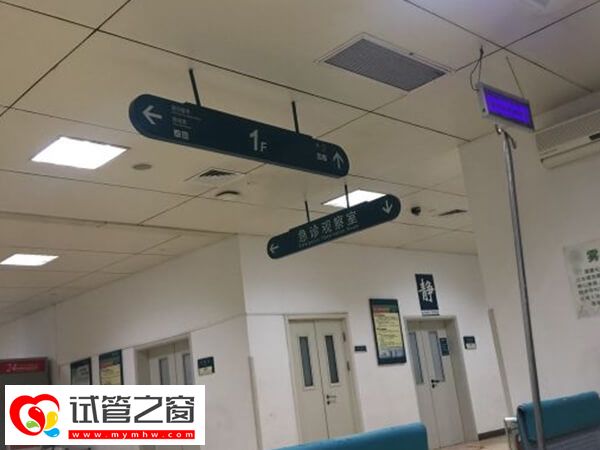 杭州做試管最好的醫生是誰