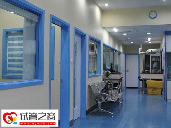 天津和睦家醫院試管如何