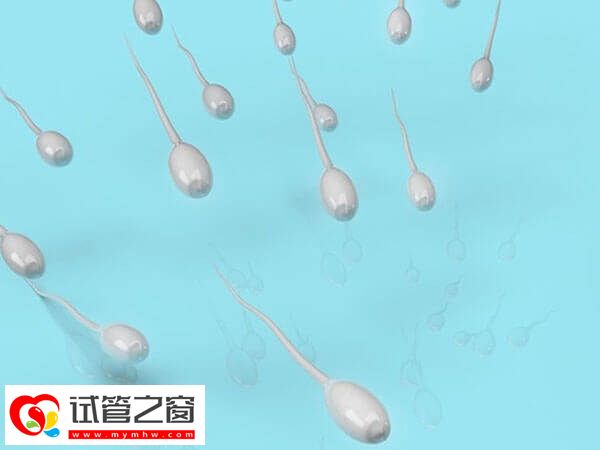促進(jìn)生精有哪些好方法