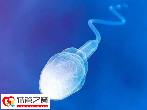 凍精可以保存生育能力