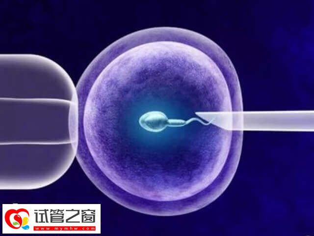 試管成功率與胚胎質量密切相關