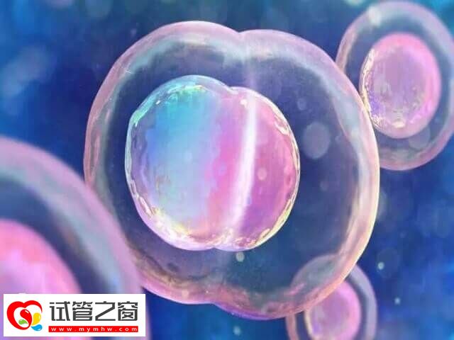 不好的生活習(xí)慣對卵子質(zhì)量有傷害