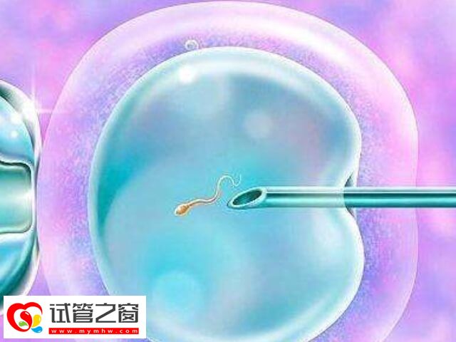 凍胚移植的最佳時間是什么時候