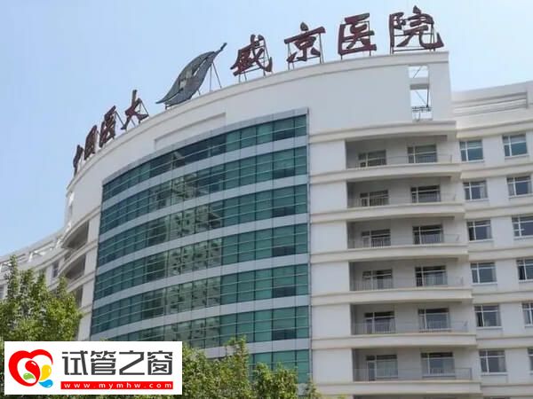 沈陽一代試管機構名單