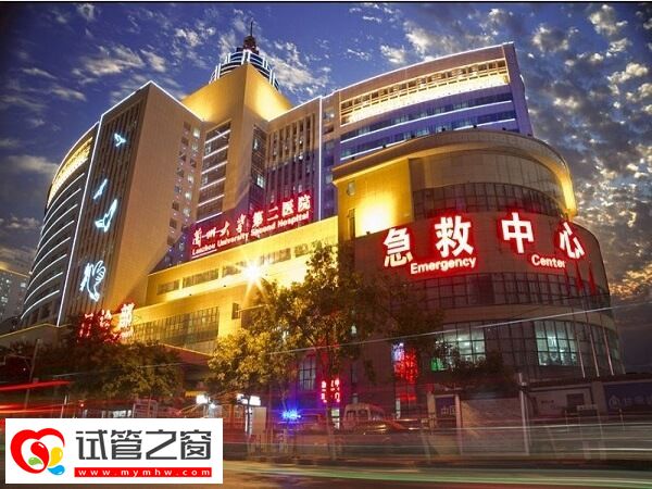 蘭大二院供卵試管費用高不高