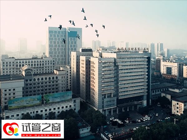南華大學附屬第一醫院二代試管成功率較高