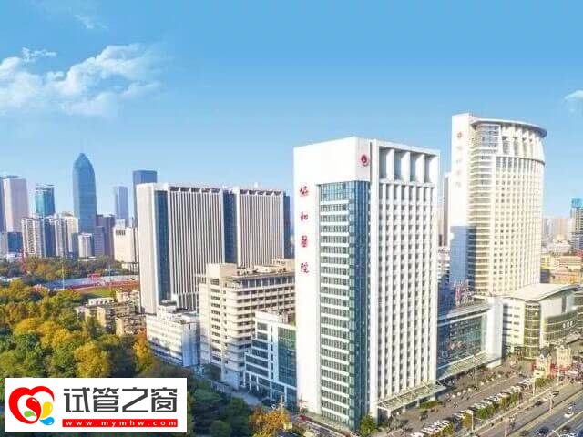 武漢三代試管成功率多少