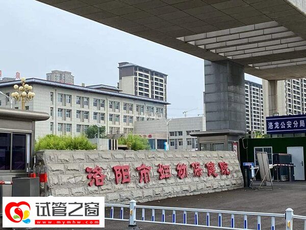 洛陽(yáng)市婦幼試管成功率多少