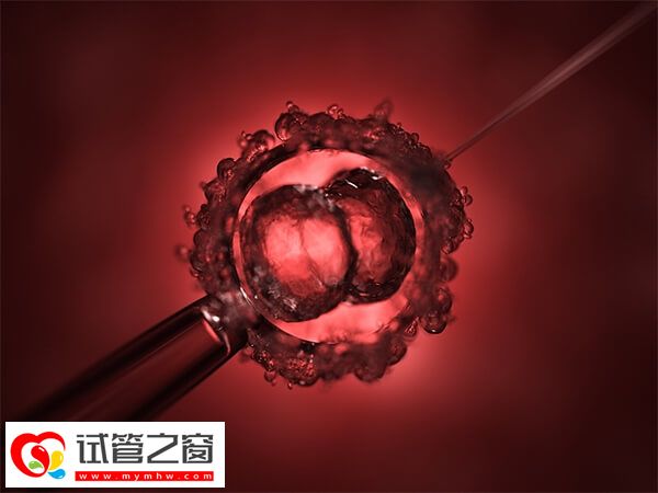 長治試管嬰兒成功率約40%-50%