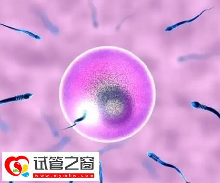 徐州有兩家試管醫院