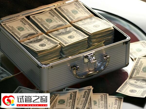 試管嬰兒檢查費約5000元