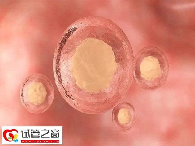滄州人民醫(yī)院二次移植凍胚費(fèi)用不高