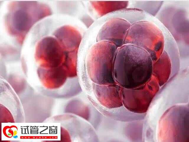 胚胎培養是做試管嬰兒的流程之一