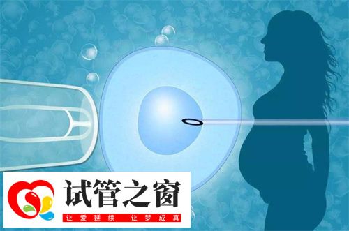 2次試管嬰兒成功案例分析！試管助孕前做好哪些事能避免2次移植(圖1)