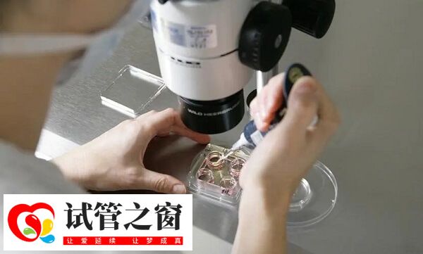 試管降調(diào)方案適合高齡女性