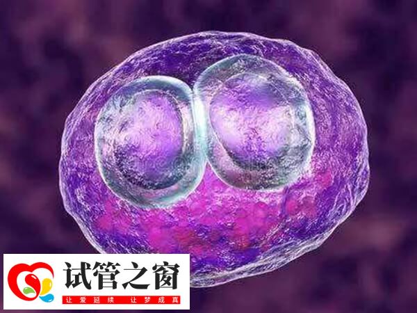 胚胎移植后要注意個(gè)人衛(wèi)生