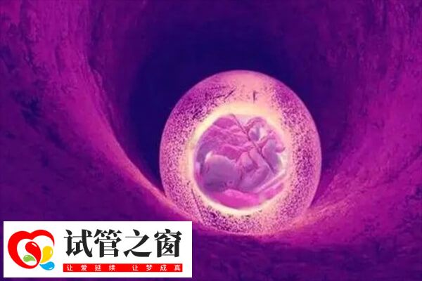 試管嬰兒需要回到子宮內(nèi)孕育