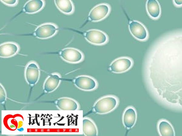 避免不良習慣可以提高精子活力