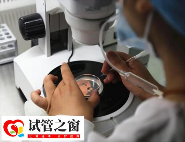 胚胎質量一般也可以選擇重新促排