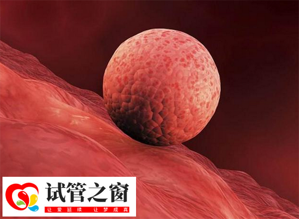 內膜線欠清可能影響試管移植