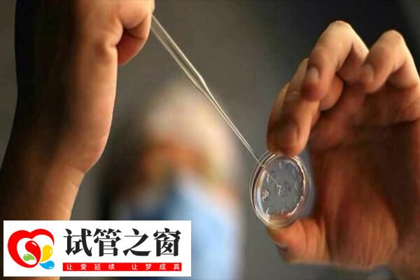 做試管的目的是獲得妊娠并成功生產