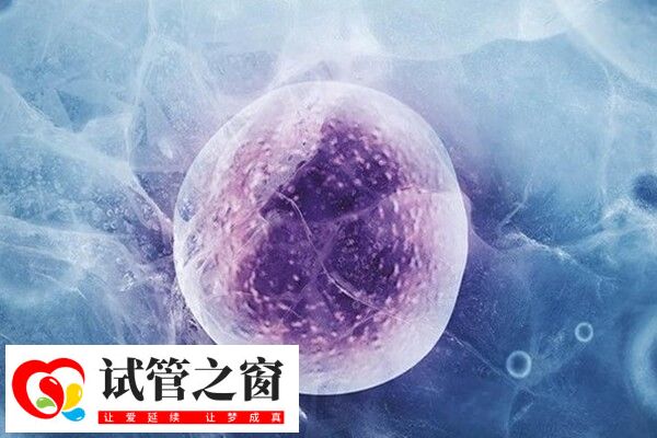 做試管嬰兒去醫院次數并不頻繁