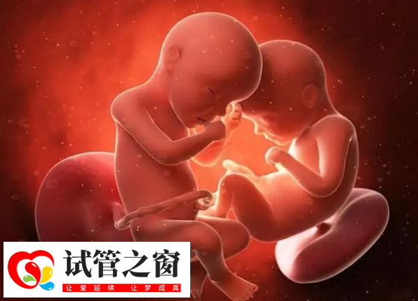 試管多胎妊娠可能會胎停