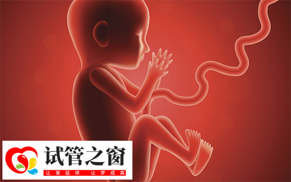 檢查二超顯示胎兒發育正常可以畢業