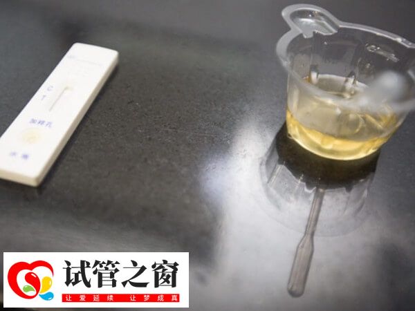 尿液被稀釋會測不出懷孕