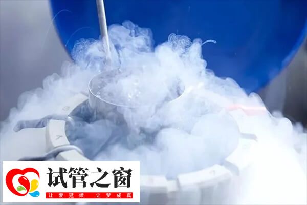 凍胚移植可有更多時間調整內膜