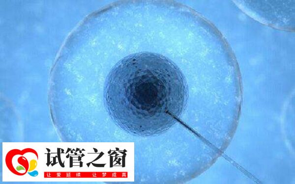 囊胚等級越高質(zhì)量越好