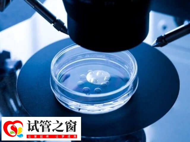 6aa囊胚被認為是優(yōu)質(zhì)的胚胎