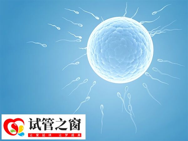 囊胚移植后出血要警惕宮外孕