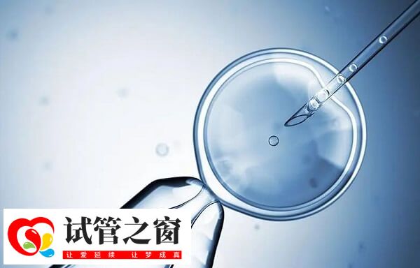 鮮胚指的是在體外3-5天內發育出來的胚胎