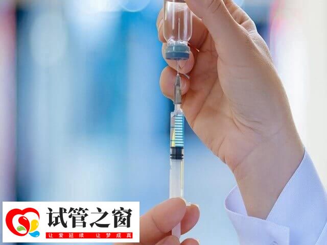 激素替代周期僅生長內膜無需卵泡發育