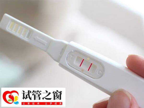 試管移植后10天驗(yàn)出懷孕