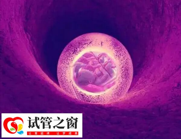 過度熬夜會影響胚胎著床