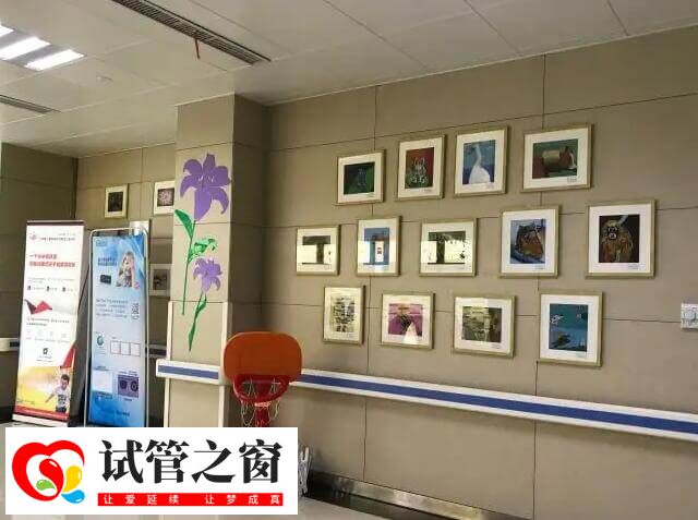 解放軍第906醫院試管成功率40%-56%