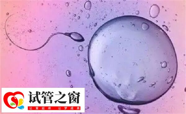 黃體期促排方案成功率還是不錯的
