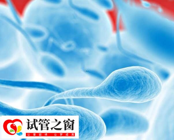 DFI是評估精子質量和生育能力的關鍵參數