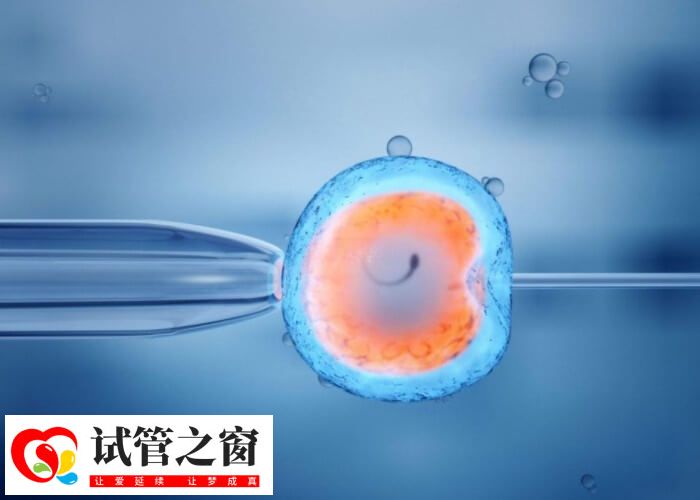 劉黎青擅長不孕癥的診斷及治療