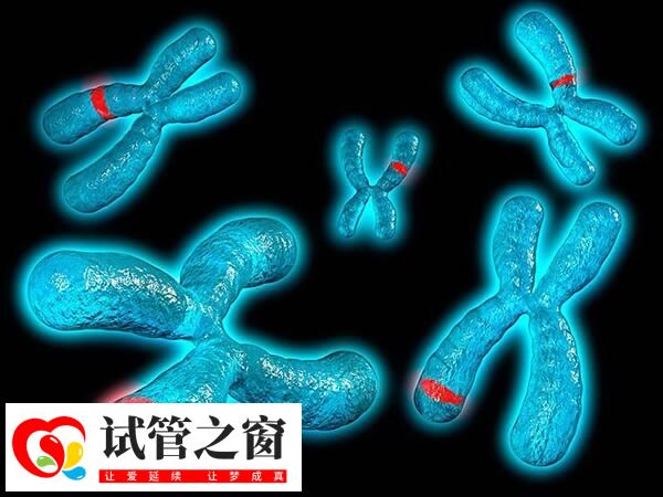 完全型T9指?jìng)€(gè)體所有細(xì)胞9號(hào)染色體都增加一條