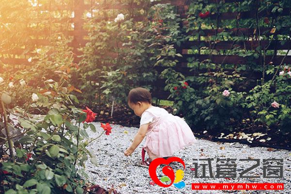 試管之窗