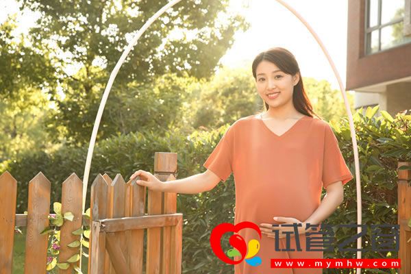 試管之窗