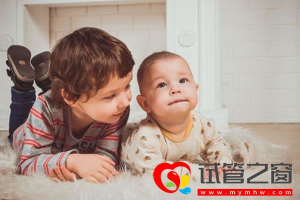 試管之窗 試管之窗
