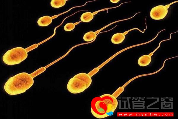 試管之窗